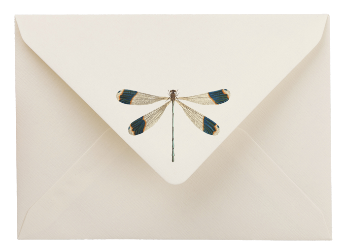 libellula